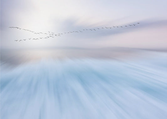 fly over | Canvas