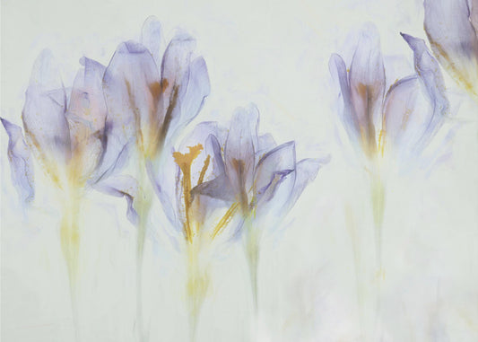 Spring | Poster