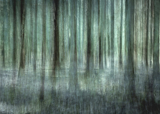 Forest light | Canvas