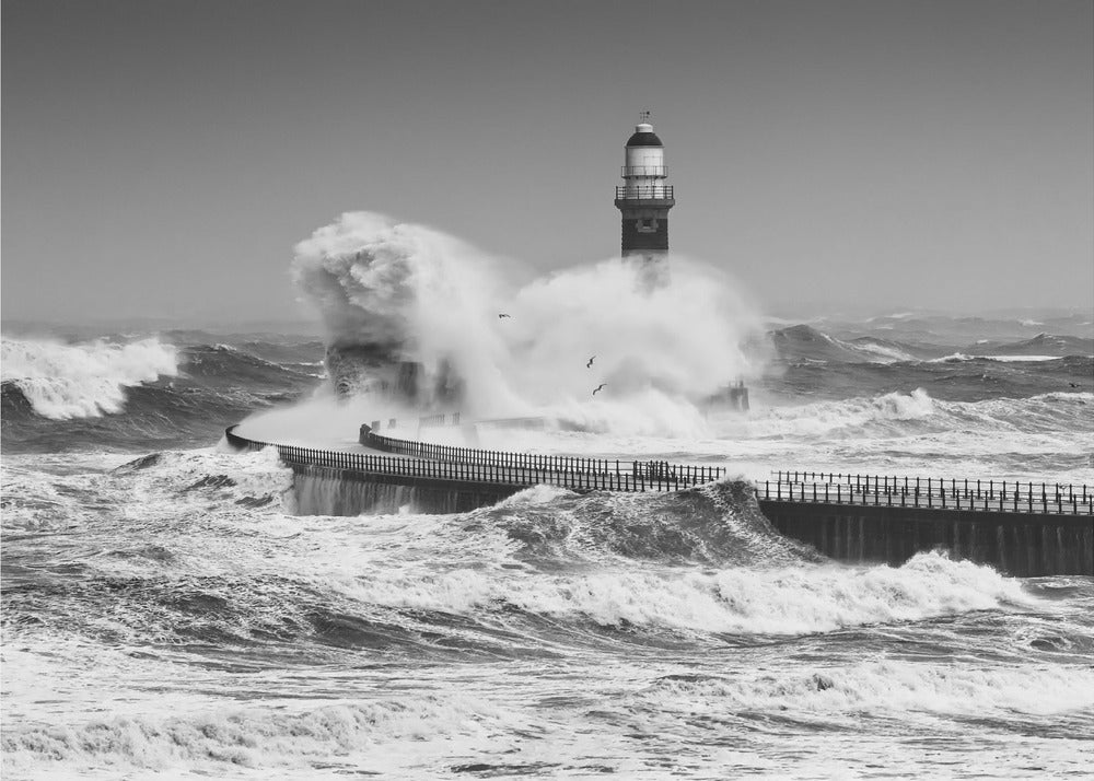 Power of the Sea | Canvas