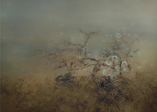 Old tree | Poster