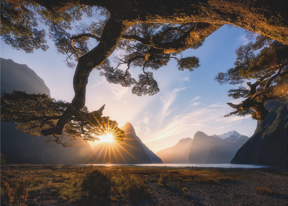 Sunny Day in Milford Sound | Canvas