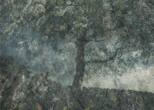 Rocks and a tree | Poster