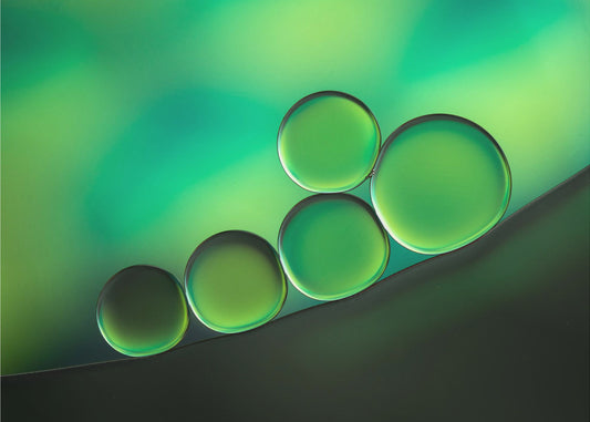 Black Spot | Canvas