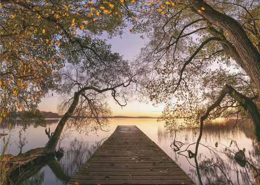 Autumn | Canvas