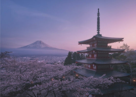 Mt Fuji Sakura | Canvas