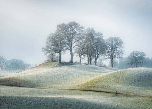 It is not in tuscany | Canvas
