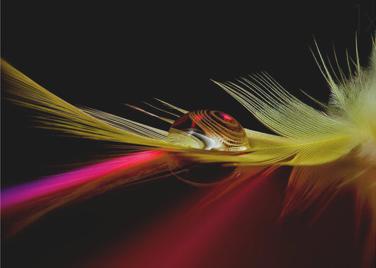 Colors in the drop | Canvas