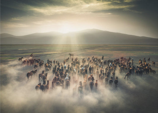 Wild Horses | Poster