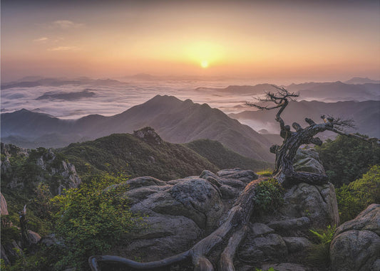 Sunrise on Top | Poster