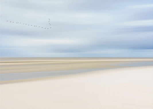 at the ocean III | Canvas