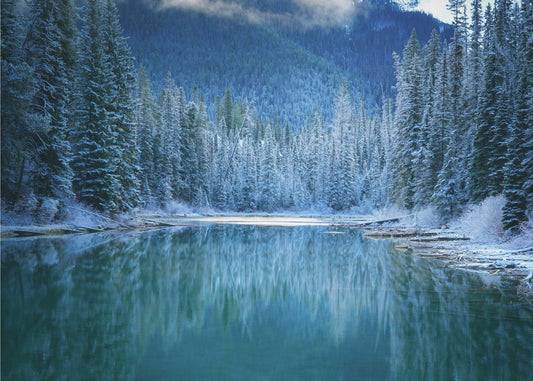 Wonder Winter Land | Canvas