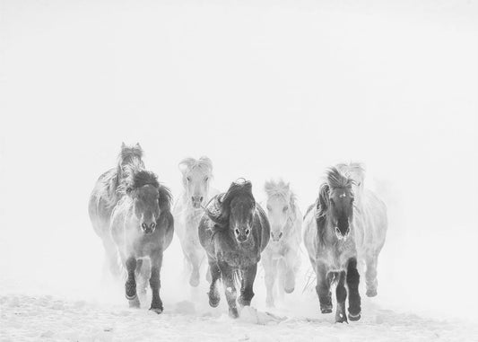 Running in the snow | Poster