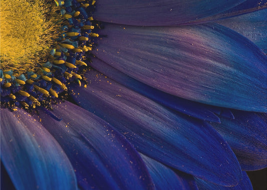 Blue Rays | Canvas