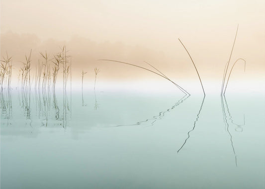 Silence | Canvas