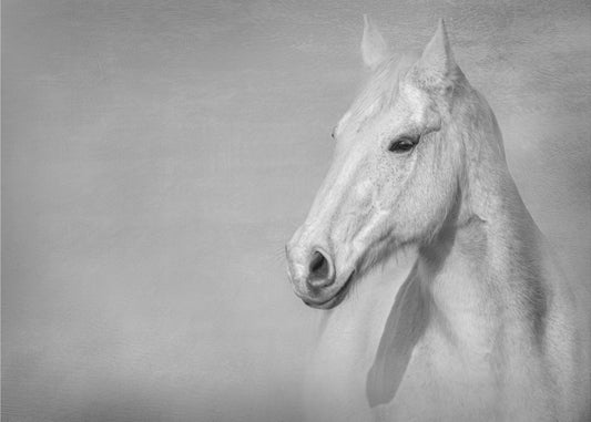 The Grey Horse | Poster