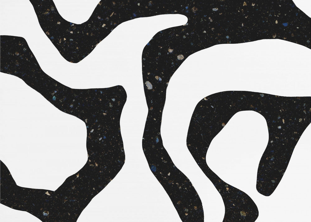 Black Gems | Canvas