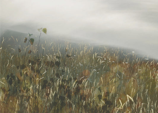 In the field | Canvas