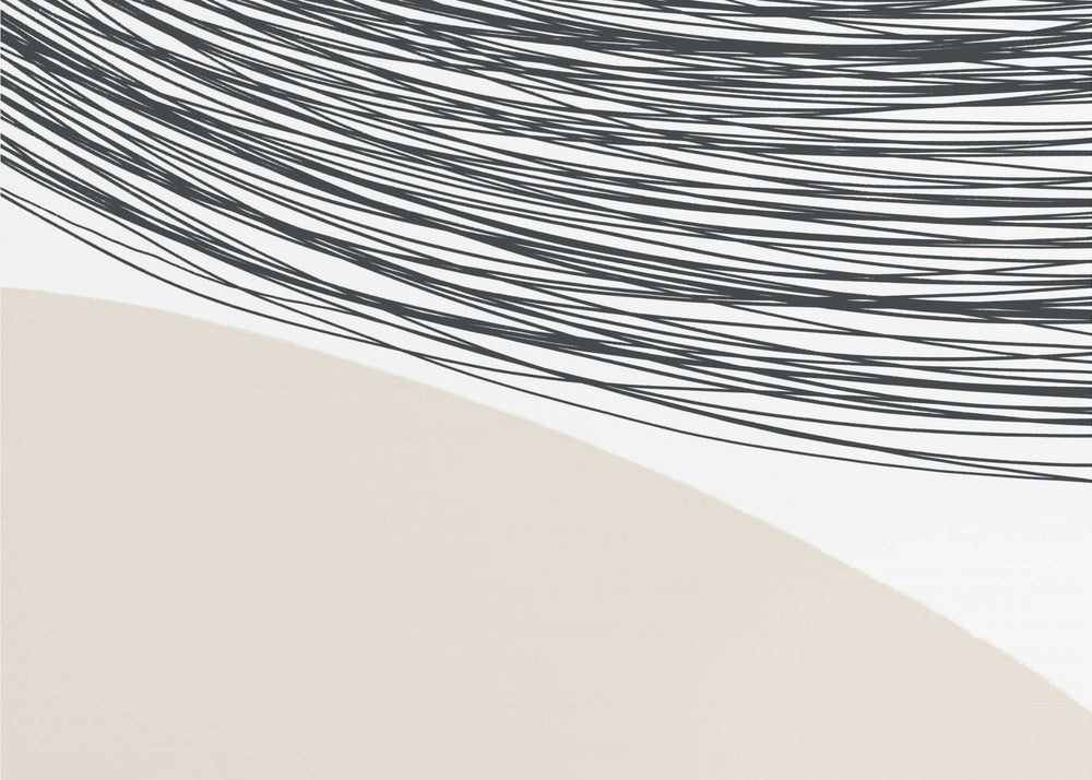 Curved Lines Harmony | Poster