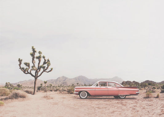 In the desert | Poster
