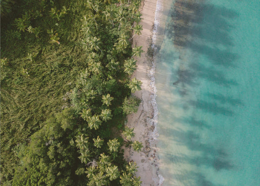 Green Beach from Above 2 | Canvas