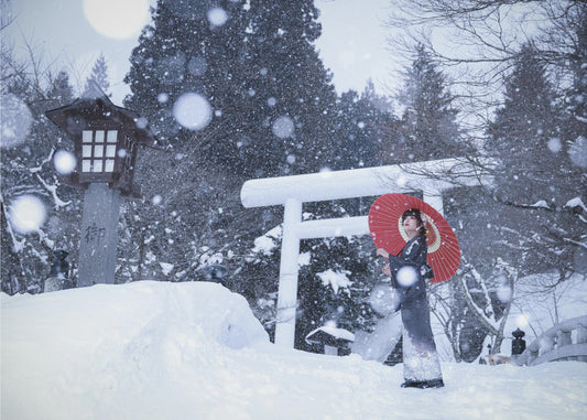 Winter shrine in japan | Poster