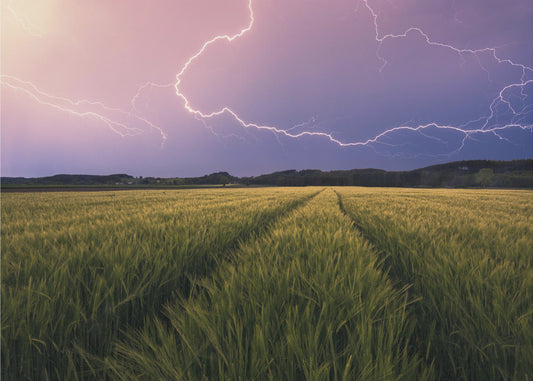 Lightning | Poster