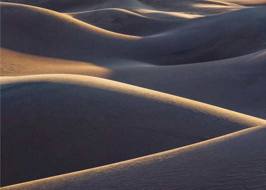 Curves | Canvas