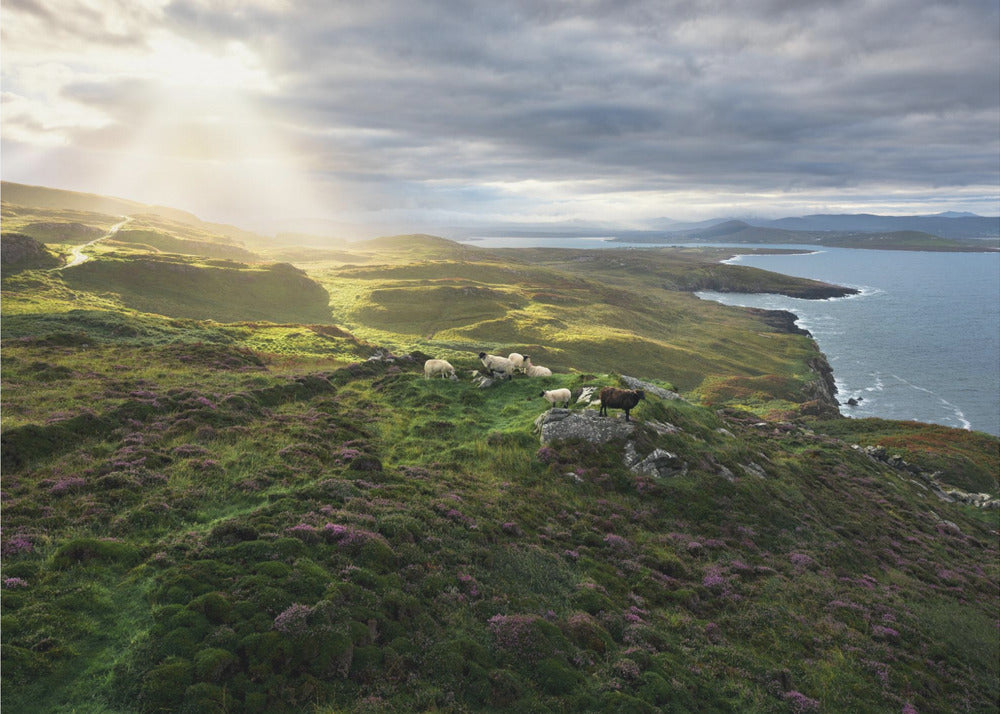 Good Morning Ireland | Wallpaper