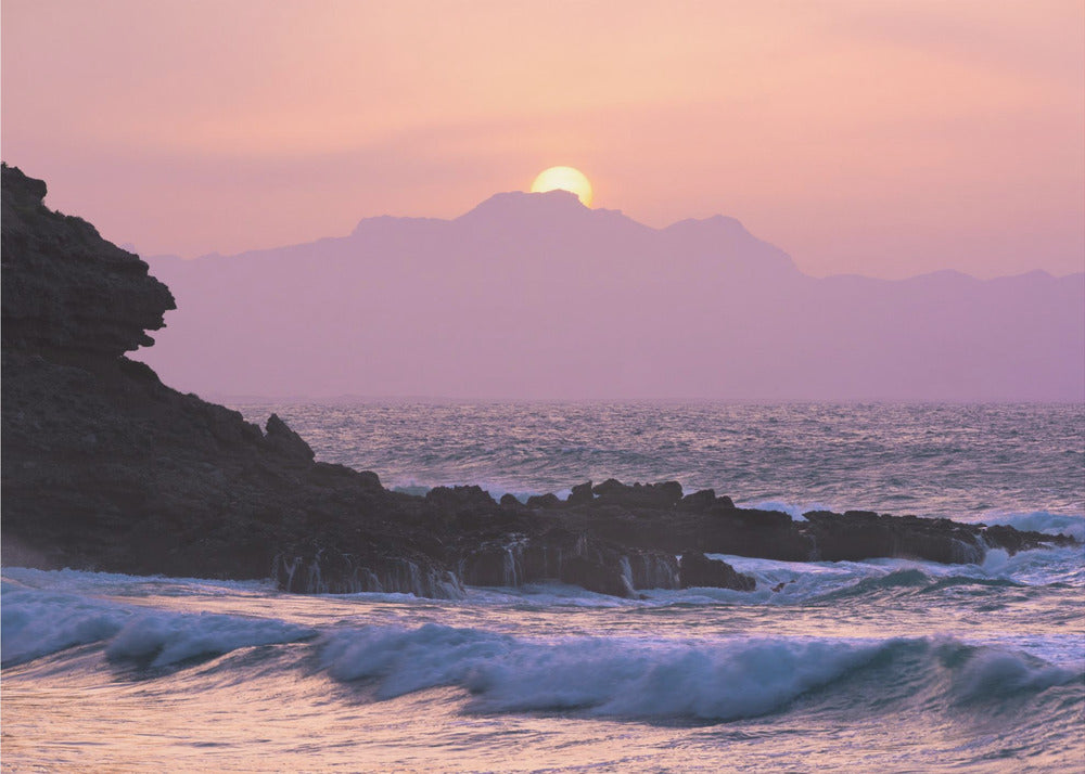 Purple Morning | Canvas