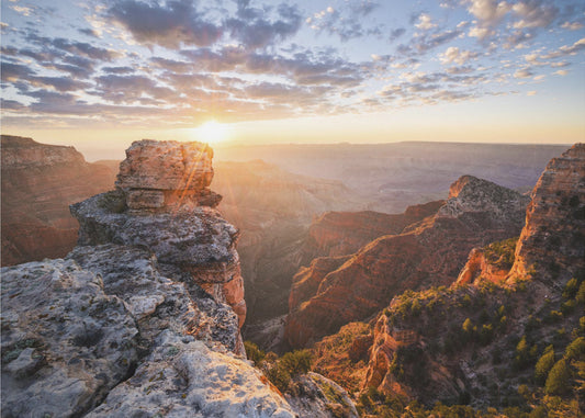 Grand Canyon Rise | Wallpaper