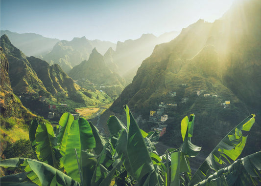 Green Valley | Wallpaper