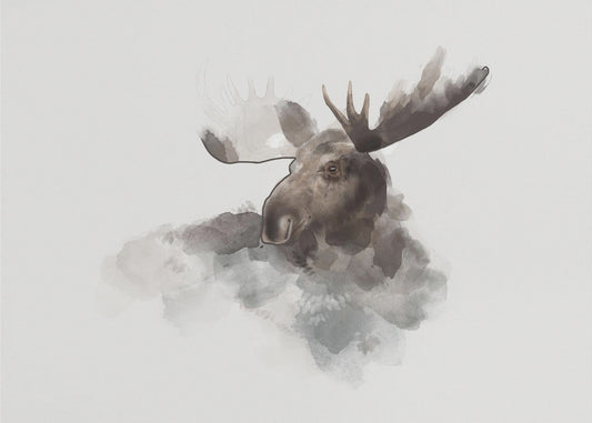 Elk | Canvas