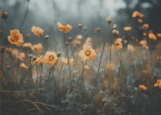 Golden Poppy Dream | Poster