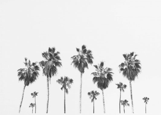 Swaying Palms | Canvas