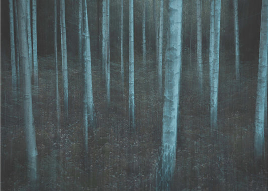 ICM v3 | Wallpaper