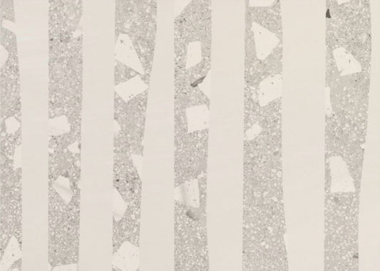 Birch Grove Shadows | Canvas