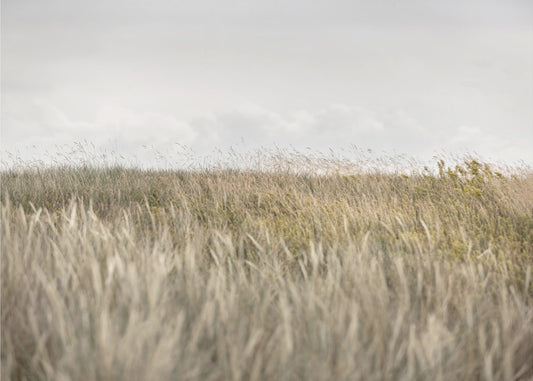 Dunes and Clouds 2 | Canvas