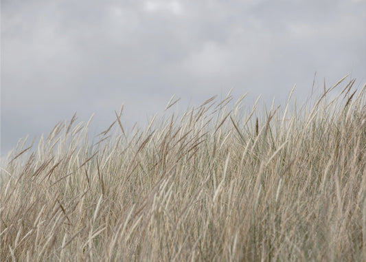 Dunes and Clouds | Canvas