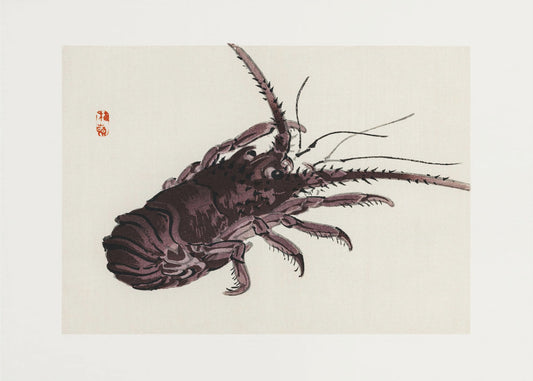 Crayfish | Poster