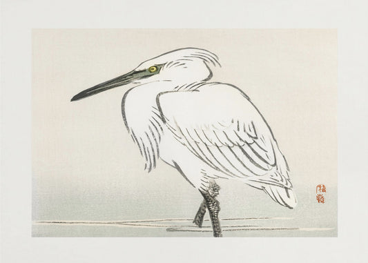 Snowy Egret | Canvas