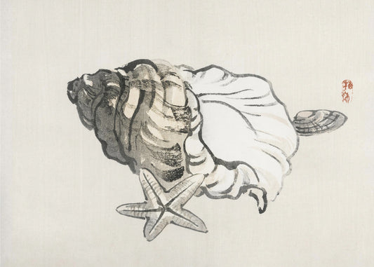 Star Fish and Conch | Poster