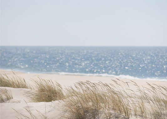 Coast Landscapes 3 | Canvas
