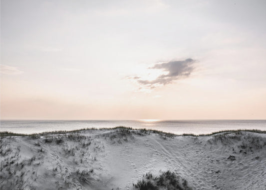 At The Coast 1X | Canvas