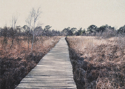 Nature reserve | Wallpaper
