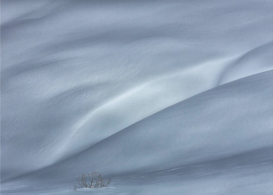 slopes in winter | Poster