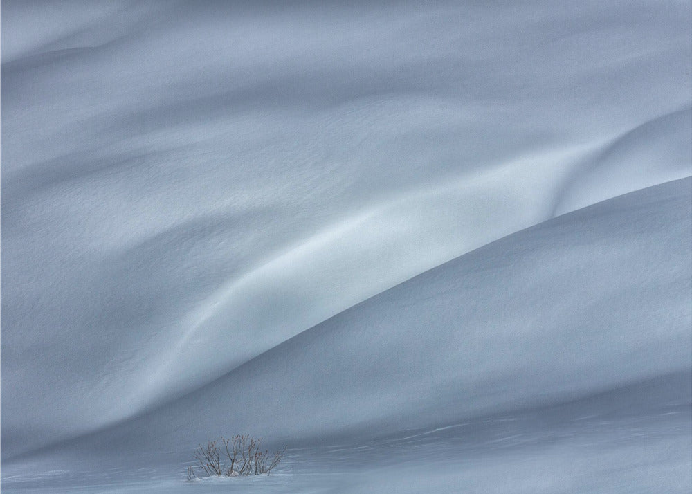 slopes in winter | Canvas