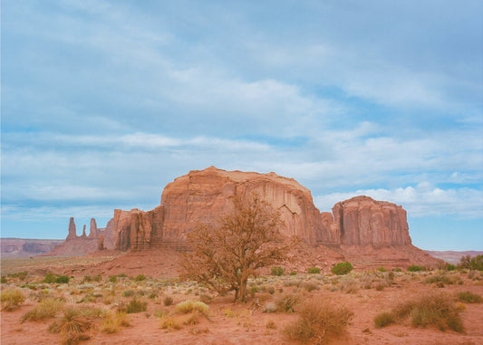 Monument Valley IX | Poster
