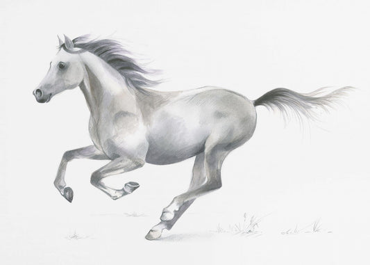 Dynamic Grace of A Galloping Horse | Poster