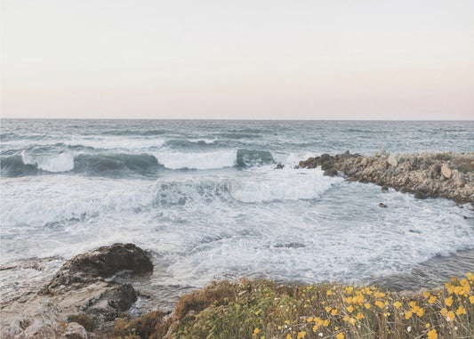 Seascape and poppies | Poster